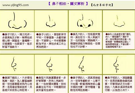 看鼻子 面相